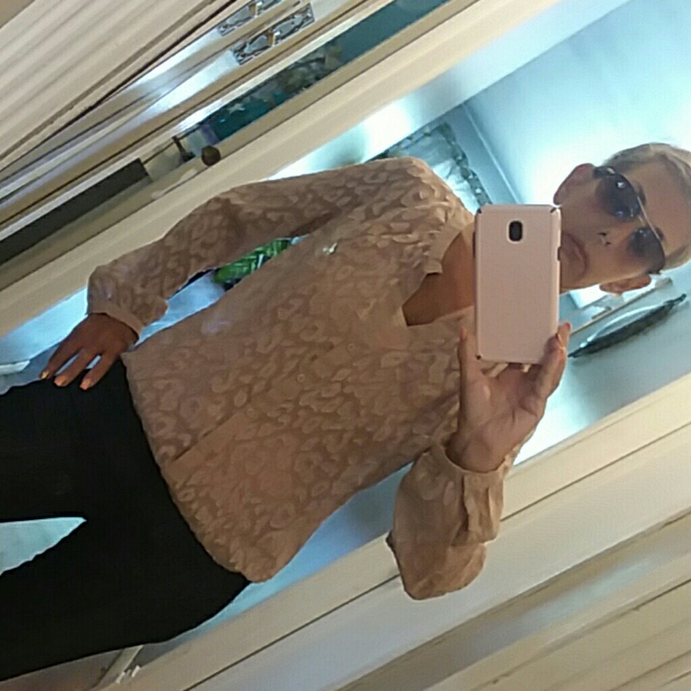 Banana Republic shear blouse.